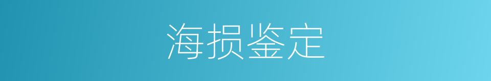 海损鉴定的同义词