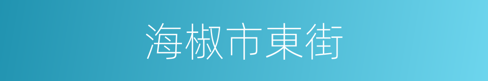 海椒市東街的同義詞