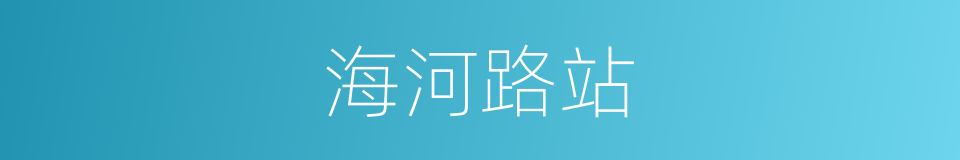 海河路站的同义词