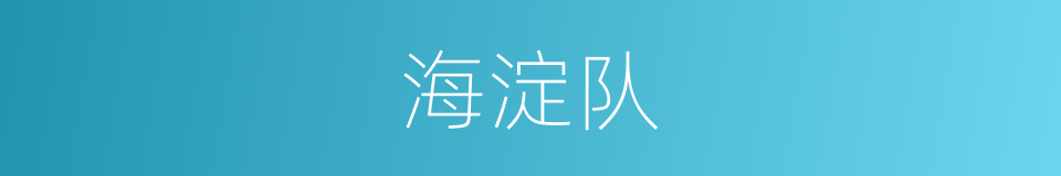 海淀队的同义词