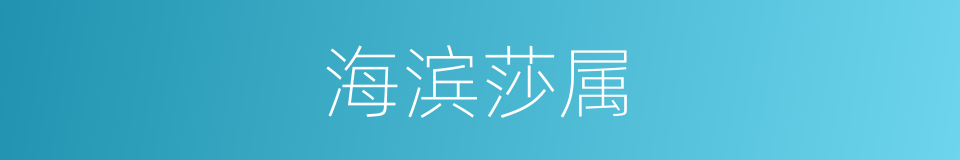 海滨莎属的同义词