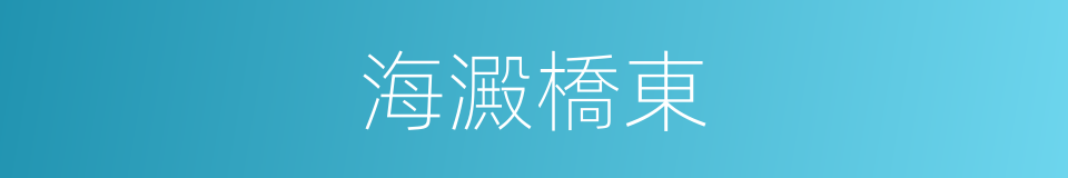 海澱橋東的同義詞