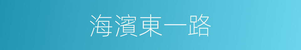 海濱東一路的同義詞