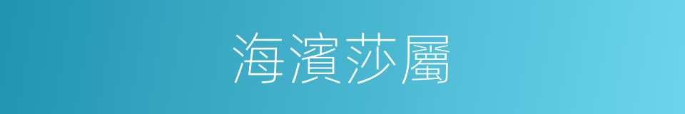海濱莎屬的同義詞