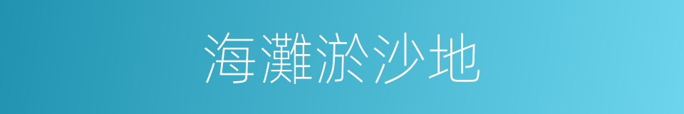 海灘淤沙地的同義詞