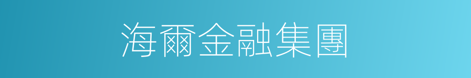 海爾金融集團的同義詞