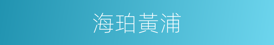 海珀黃浦的同義詞