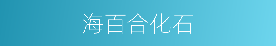 海百合化石的同义词