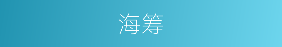 海筹的意思