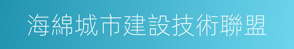 海綿城市建設技術聯盟的同義詞