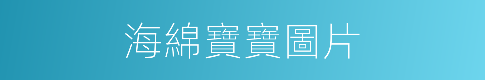 海綿寶寶圖片的同義詞