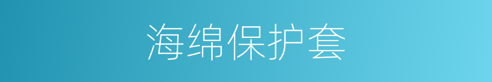 海绵保护套的同义词