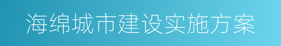 海绵城市建设实施方案的同义词