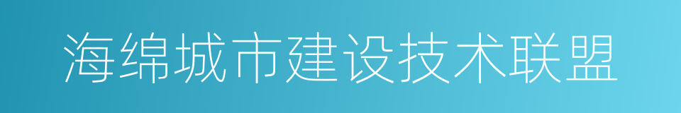 海绵城市建设技术联盟的同义词