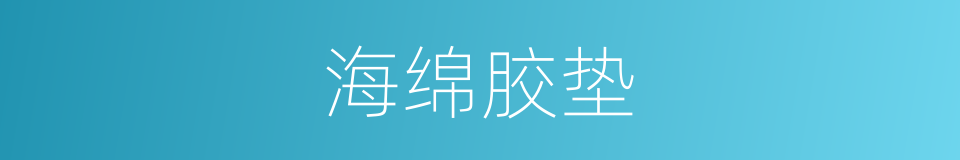 海绵胶垫的同义词