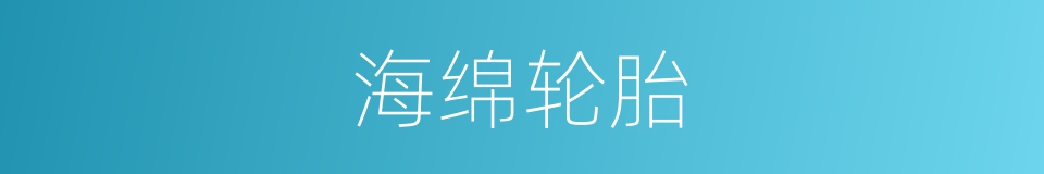 海绵轮胎的同义词