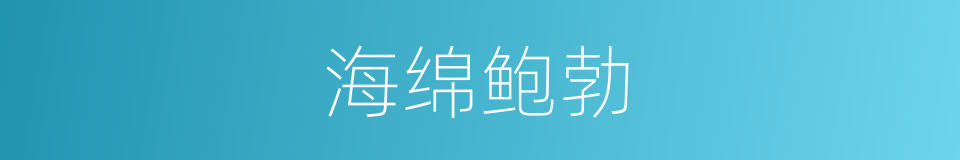 海绵鲍勃的同义词