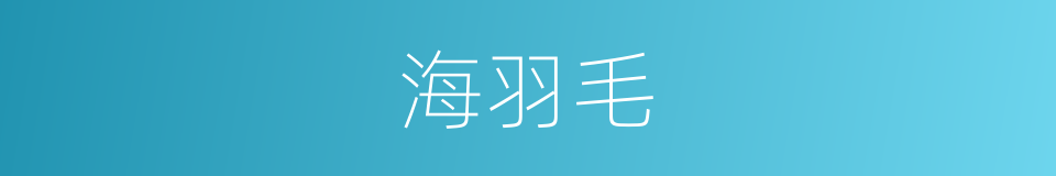 海羽毛的同义词