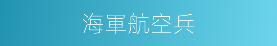 海軍航空兵的意思