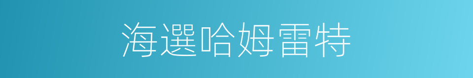 海選哈姆雷特的同義詞