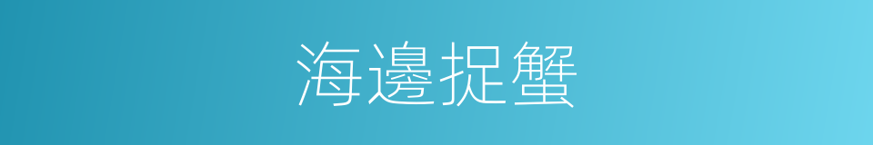 海邊捉蟹的同義詞