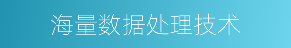 海量数据处理技术的同义词