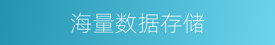 海量数据存储的同义词