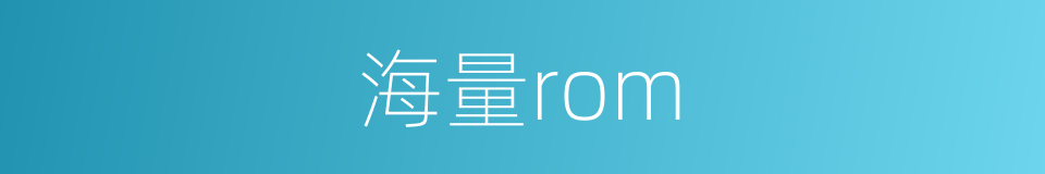 海量rom的同义词