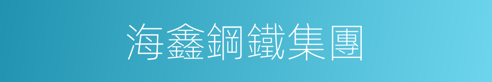 海鑫鋼鐵集團的同義詞