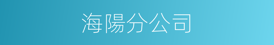 海陽分公司的同義詞