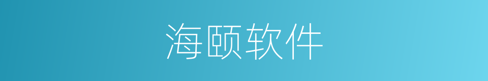 海颐软件的同义词