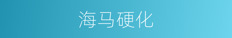 海马硬化的同义词