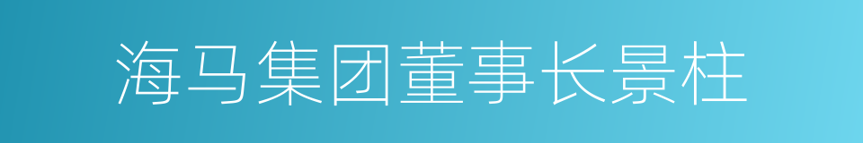 海马集团董事长景柱的同义词