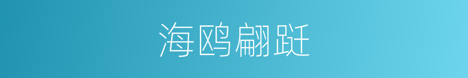 海鸥翩跹的同义词