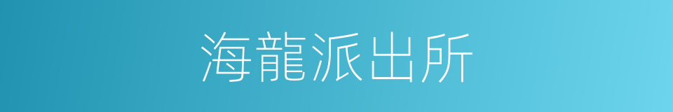 海龍派出所的同義詞