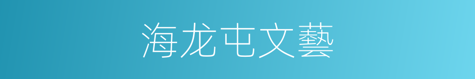海龙屯文藝的同義詞