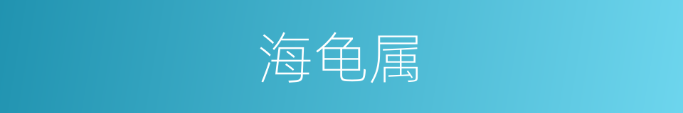 海龟属的同义词