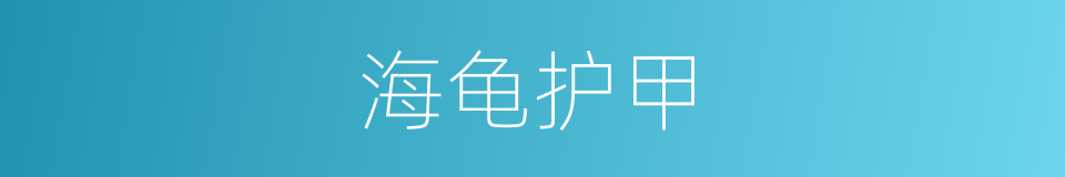 海龟护甲的同义词