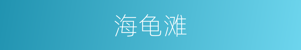 海龟滩的同义词