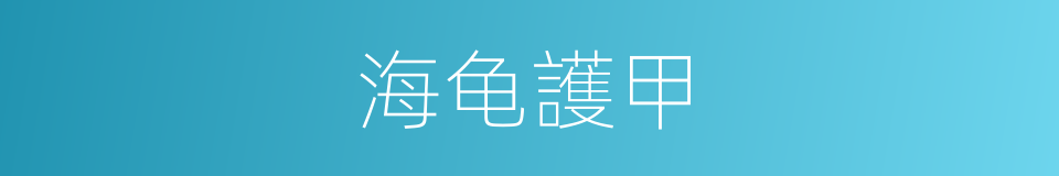海龟護甲的同義詞