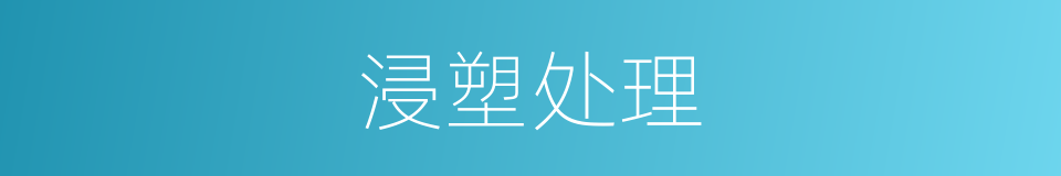 浸塑处理的同义词