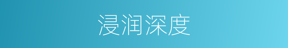 浸润深度的同义词