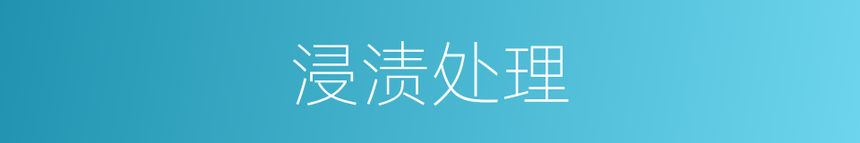 浸渍处理的同义词