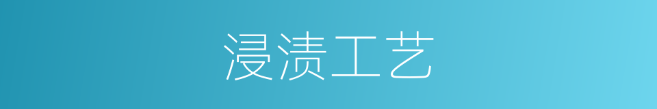 浸渍工艺的同义词