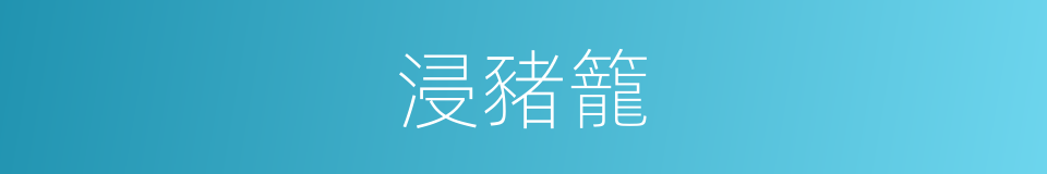 浸豬籠的意思
