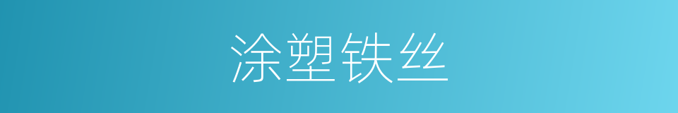 涂塑铁丝的同义词
