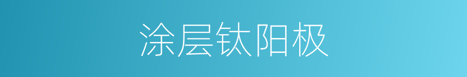 涂层钛阳极的同义词