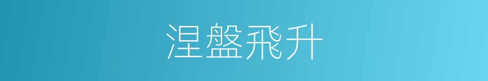 涅盤飛升的同義詞