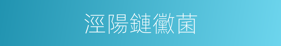 涇陽鏈黴菌的同義詞