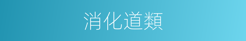 消化道類的同義詞